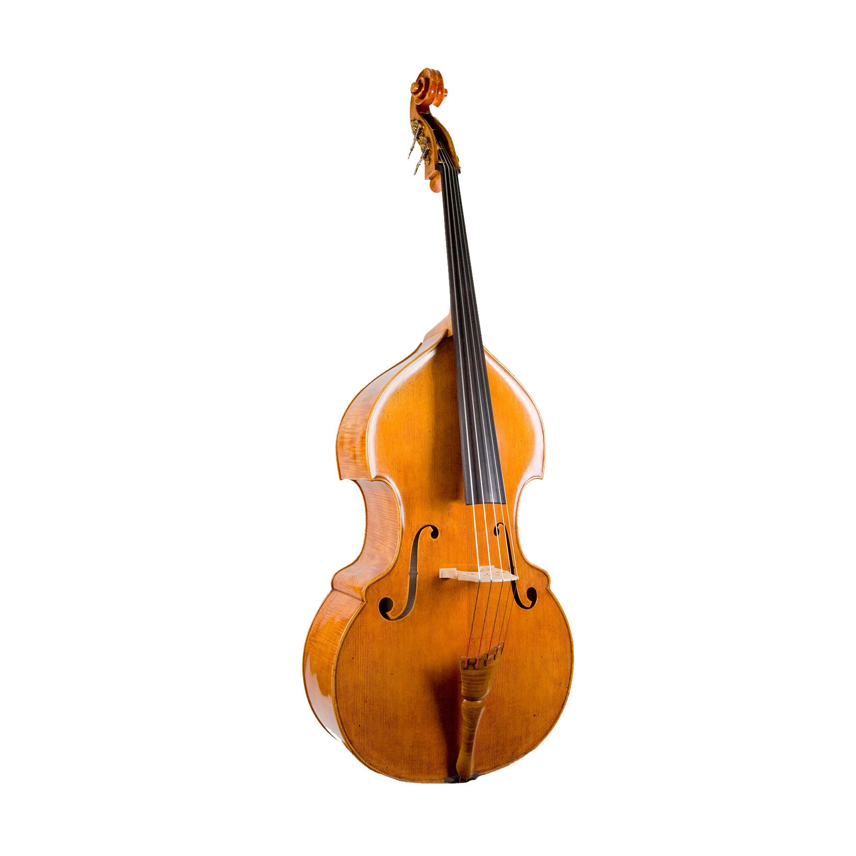 Double Bass